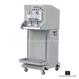 Mesin Vacuum Sealer BPDZ-600L